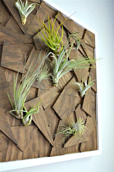 20+30+ Decorating Walls With Plants – HOMYRACKS