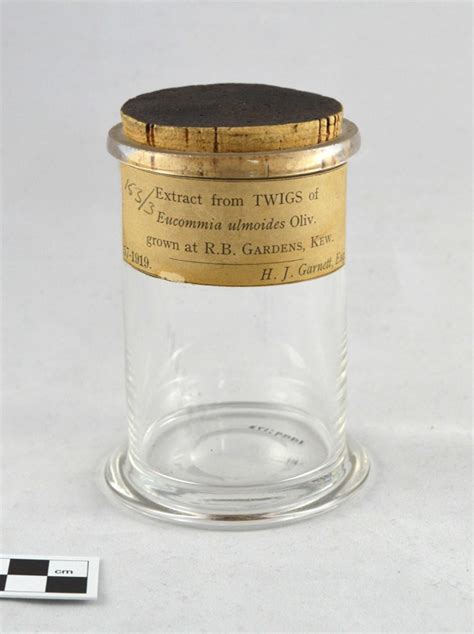 Small Clear Glass Plant Specimen Jar with Cork Closure and Printed Paper Label: ... | eHive