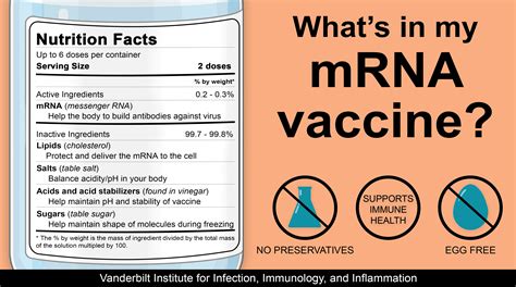 What's in my mRNA Vaccine? | Vanderbilt Institute for Infection ...