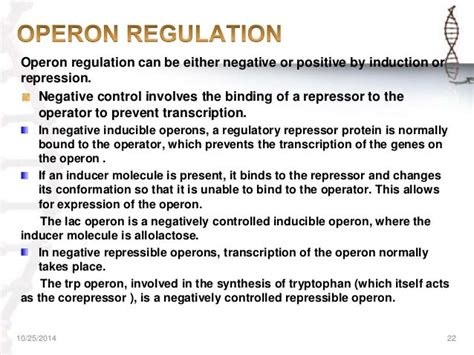 REGULATION OF GENE EXPRESSION IN PROKARYOTES & EUKARYOTES