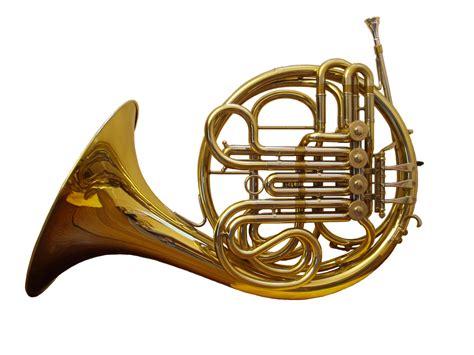 File:French horn front.png - Wikipedia