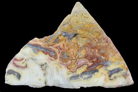 4.8" Polished, Crazy Lace Agate Slab - Western Australia (#96243) For Sale - FossilEra.com