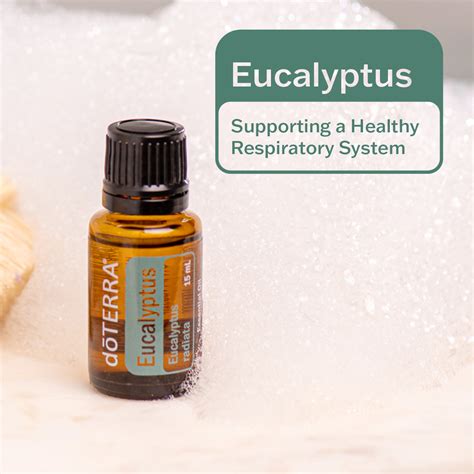 Eucalyptus Oil | dōTERRA Essential Oils