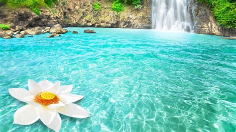 1600x900 Waterfall Flowers 1600x900 Resolution HD 4k Wallpapers, Images, Backgrounds, Photos and ...