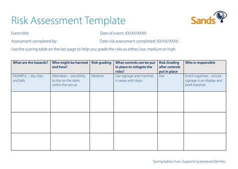 Risk Assessment Template | Sands - Saving babies' lives. Supporting ...