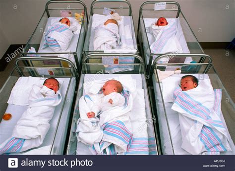 Newborn babies in hospital nursery Danbury Connecticut USA Stock Photo: 15802049 - Alamy