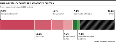 Male fertility needs to be made a greater healthcare priority