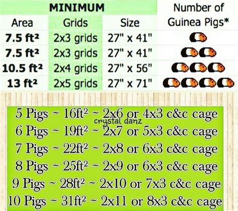 Got more than 4 piggies? This cage size chart should help | Misc | Guinea pig care, Guinea pigs ...