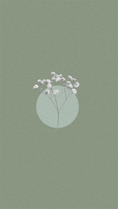 some white flowers are in the middle of a green circle on a gray ...