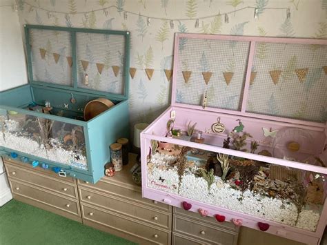 Hamster House Ideas