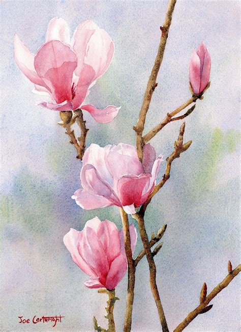 Joe Cartwright's Watercolor Blog: Pink Magnolias