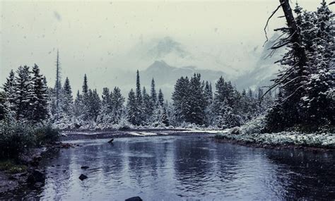 Premium Photo | Glacier national park, montana. winter.