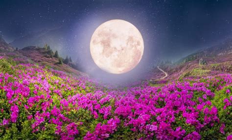 Full Pink Moon Meaning in April and Pink Supermoon Meaning