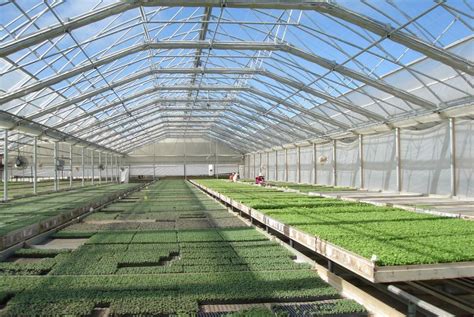 Commercial Greenhouse Continental | Natural Ventilation | Gothic Style ...