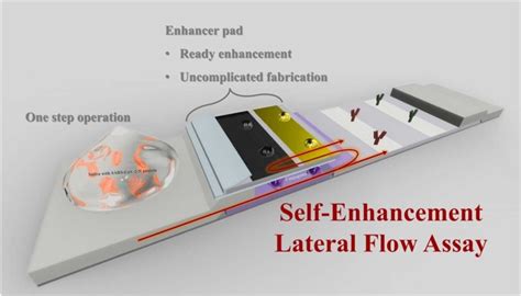 Self-Enhancement Lateral Flow Immunoassay for COVID-19 Diagnosis - Abstract - Europe PMC