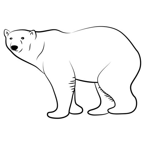 Polar Bear in Outline Sketch. 7768827 Vector Art at Vecteezy