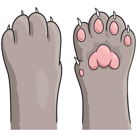 How to Draw a Cat Paw - Really Easy Drawing Tutorial