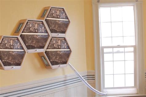 This modular hive system brings beekeeping indoors | Bee keeping, Honey bee hives, Bee hive