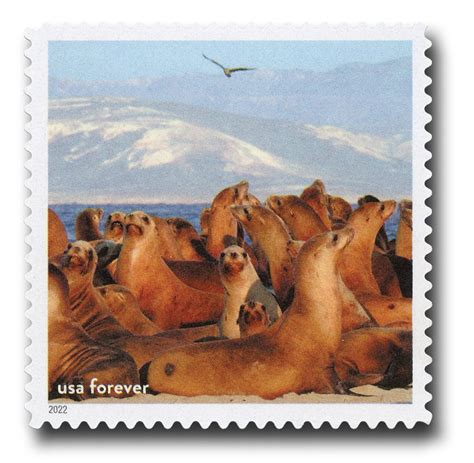 5713m - 2022 First-Class Forever Stamp - National Marine Sanctuaries ...