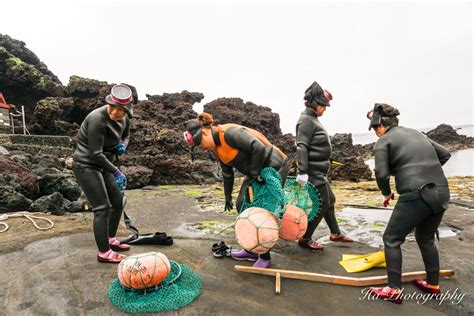 Haenyeo Jeju Women Divers: Where to See Them | Expatolife