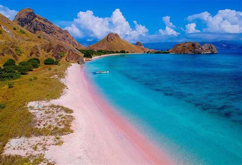 Polemik Kenaikan Tiket Taman Nasional Komodo