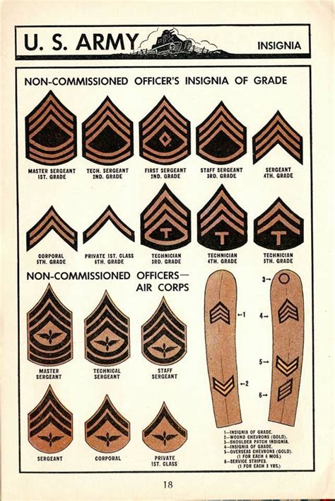 List Of Army Ww2 Ranks Ideas