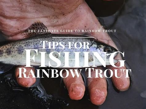 How To Catch Rainbow Trout - Tips for Fishing Rainbow Trout