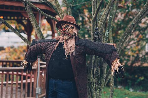 Scarecrow Beside Tree · Free Stock Photo