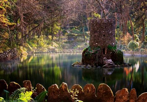 Jardim do Palacio da Pena, Sintra. Pena palace gardens, Sintra ...