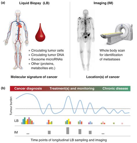 Illustration of the cancer to chronic disease (C2c) approach. (a) C2c... | Download Scientific ...