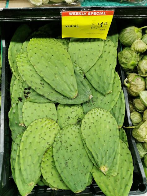 Nopal or Nopales for Sale on a Grocery Shelf in Queens, New York Editorial Photo - Image of ...