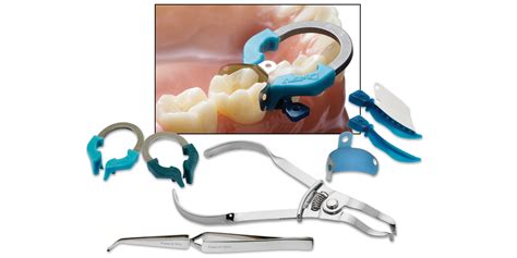 Palodent® Plus sectional matrix system | Safco Dental Supply