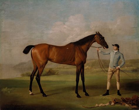 Whistlejacket - Wikipedia, the free encyclopedia | Painted | Pinterest | Horse, Horse art and ...