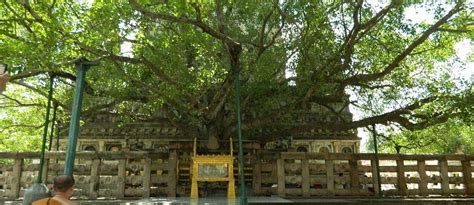 Mahabodhi Temple at Bodh Gaya - Holiest of shrine for the Buddhists