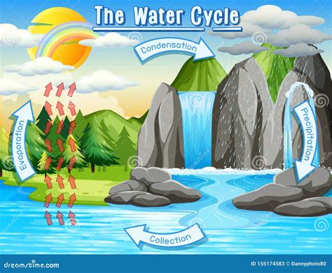 Water Cycle Process on Earth - Scientific Stock Vector - Illustration ...