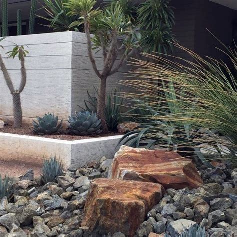 Transform Your Space with Creative Desert Landscaping Designs