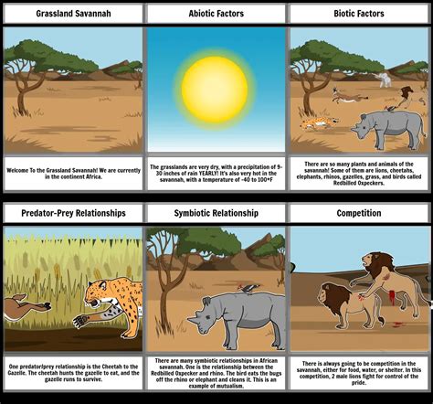 Grassland Savannah Storyboard por adalee