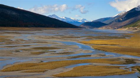 Medicine Lake, Alberta: Disappearing Lake - Grazy Goat