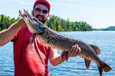 Boundary Waters Fishing | Clearwater BWCA Outfitters