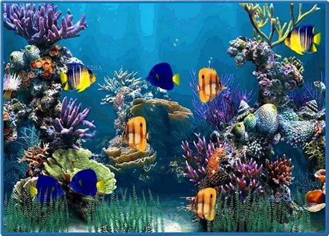 Desktop Fish Tanks Aquariums Screensavers | 2017 - 2018 Best Cars Reviews