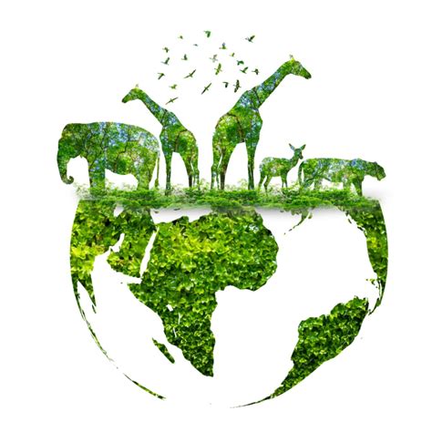 World Environment Day 2022 Theme