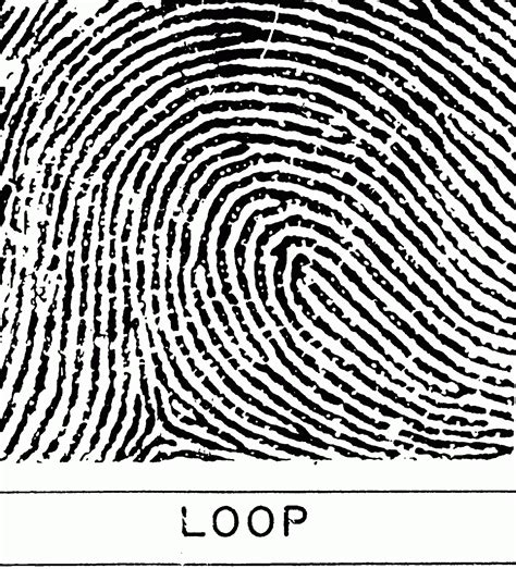 A Fingerprint Expert Blogs: What is a Fingerprint?