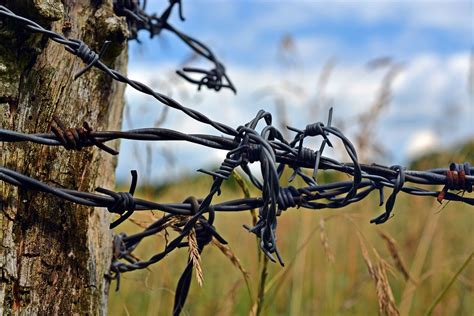 Free photo: Barbed Wire, Fence Post, Wood Pile - Free Image on Pixabay - 1506549