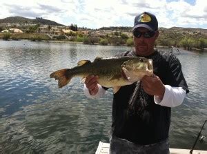 Gone Fishing in Canyon Lake - An Angler's Paradise - Canyon Lake California