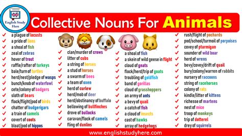 200 Examples of Collective Nouns - English Study Here