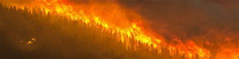 Wildfire Smoke: Health Effects and How to Protect Yourself - Dell Tech