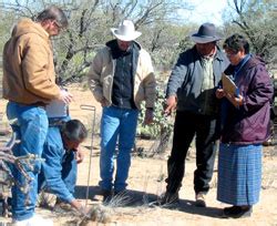 Profile: The Tohono O'odham Nation, Arizona - SARE