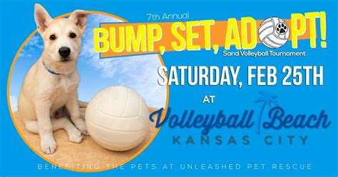 Upcoming Tournaments – Volleyball Beach