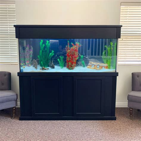 100 Gallon Freshwater Aquarium – Aquarium Installation and Maintenance Services Thousand Oaks CA