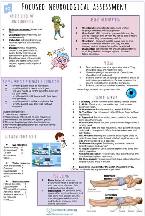 Focused Neurological Assessment | Nurse study notes, Medical school ...